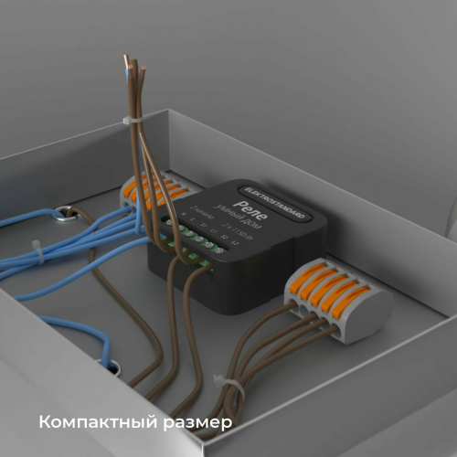Умное двухканальное реле Elektrostandard 4690389185083 a059326 дополнительное фото фото 4