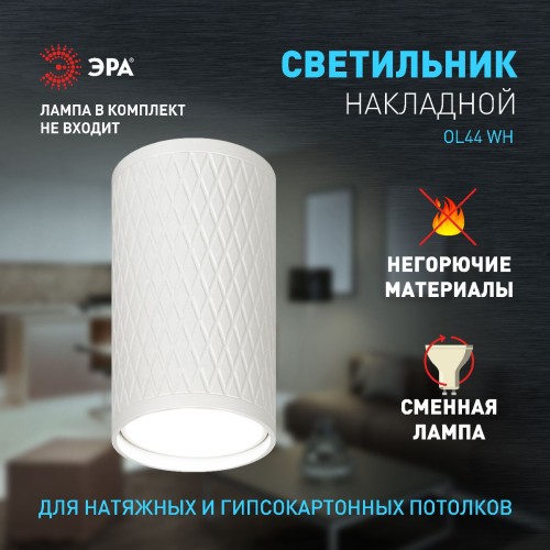 Накладной светильник Эра OL44 WH Б0058495 изображение в интернет-магазине Cramer Light фото 8