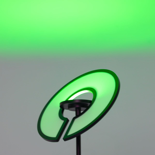 Торшер Citilux Loong CL810031 изображение в интернет-магазине Cramer Light фото 9