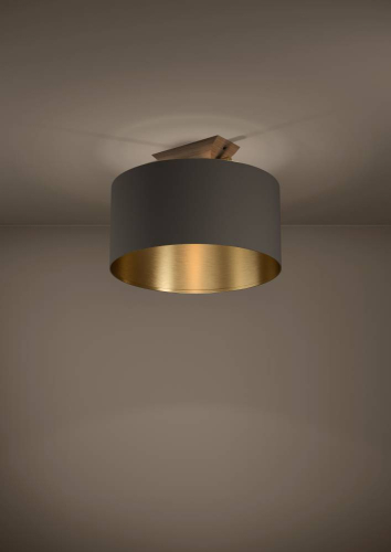 Потолочный светильник Eglo Santandria 390335 изображение в интернет-магазине Cramer Light фото 2