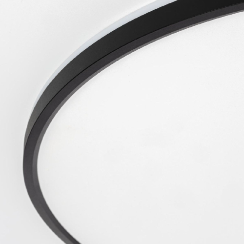 Потолочный светильник Citilux Norma CL748601 изображение в интернет-магазине Cramer Light фото 8