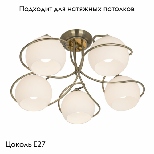 Потолочная люстра Citilux Лайма CL155153 изображение в интернет-магазине Cramer Light фото 2