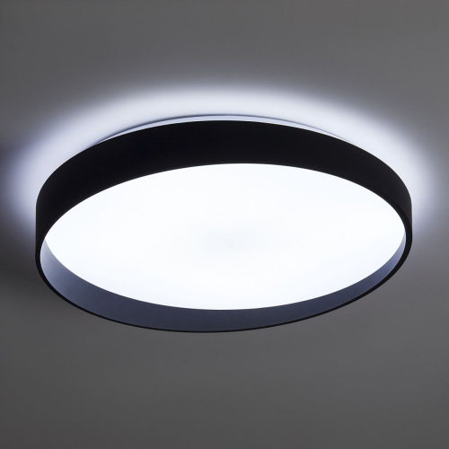 Потолочный светильник Freya Pass FR6222CL-L84B изображение в интернет-магазине Cramer Light фото 4