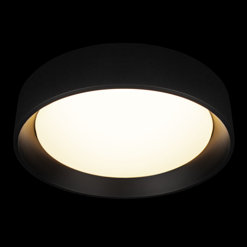 Потолочный светильник Loft IT Coin 10202 BB изображение в интернет-магазине Cramer Light фото 2