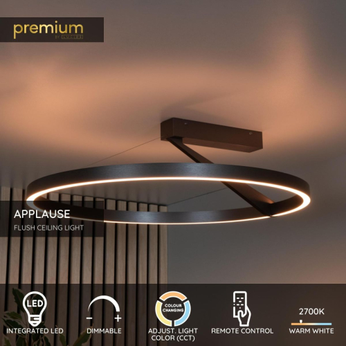 Потолочный светильник Lucide Applause 23100/60/15 изображение в интернет-магазине Cramer Light фото 3