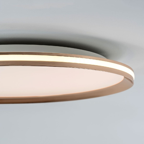 Потолочный светильник LED4U L3020-500 GD изображение в интернет-магазине Cramer Light фото 6