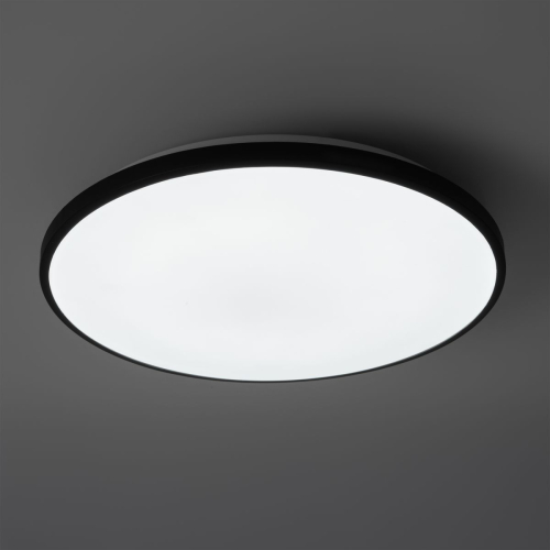 Потолочный светильник Freya Obelle FR6211CL-L24B изображение в интернет-магазине Cramer Light фото 10
