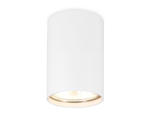 Накладной светильник Ambrella Light Techno Spot TN213101 изображение в интернет-магазине Cramer Light