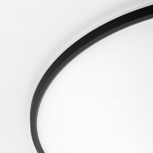 Потолочный светильник Citilux Norma CL749601 изображение в интернет-магазине Cramer Light