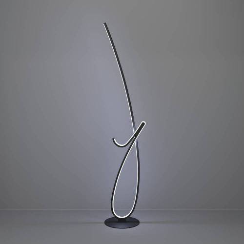 Торшер Eglo Cardoncito 902349 изображение в интернет-магазине Cramer Light фото 6