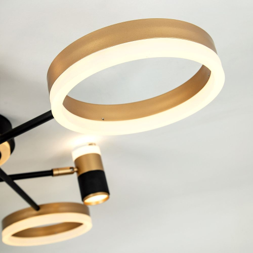 Потолочная люстра LED4U L3121-6 изображение в интернет-магазине Cramer Light фото 4