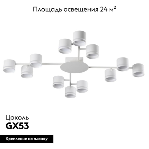 Потолочная люстра Lumion Gareta 8235/12C изображение в интернет-магазине Cramer Light фото 2