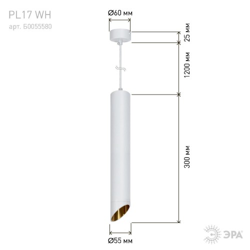 Подвесной светильник Эра PL 17 WH Б0055580 изображение в интернет-магазине Cramer Light фото 9