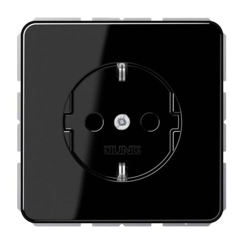 Hозетка SCHUKO Jung CD500 CD1520BFKISW дополнительное фото