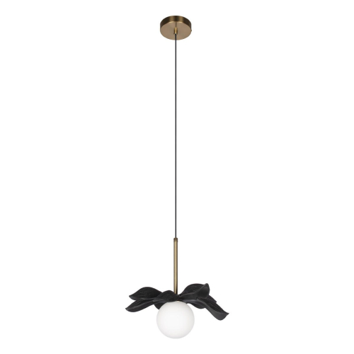 Подвесной светильник Loft IT Monro 10213/A Black изображение в интернет-магазине Cramer Light