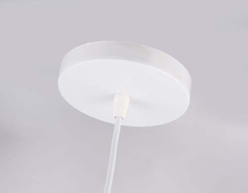 Подвесной светильник Ambrella Light Comfort Loft TR8441 изображение в интернет-магазине Cramer Light фото 5