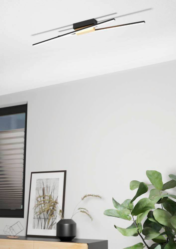 Потолочный светильник Eglo Panagria 900488 изображение в интернет-магазине Cramer Light фото 2