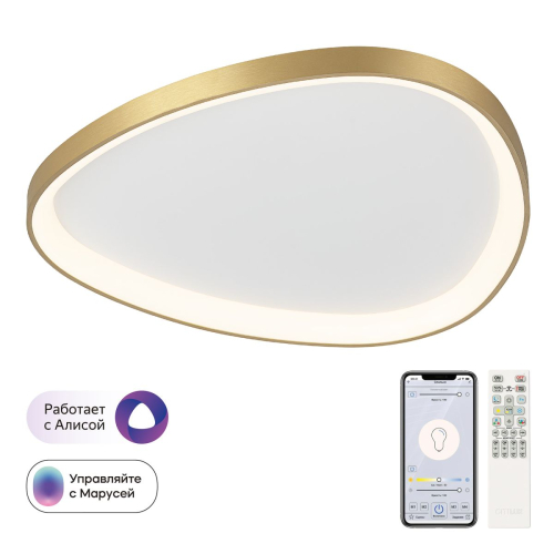 Потолочная люстра Citilux Genka Smart CL756A162 изображение в интернет-магазине Cramer Light