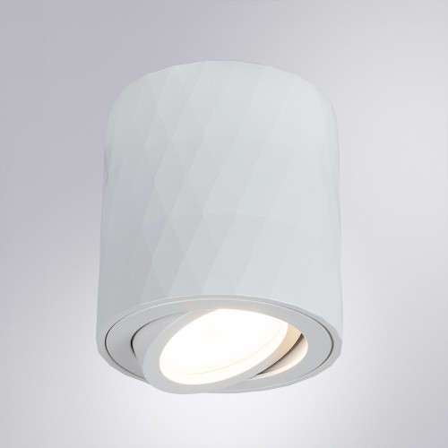 Накладной светильник Arte Lamp Fang A5559PL-1WH изображение в интернет-магазине Cramer Light фото 2