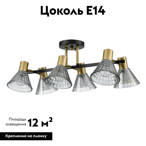 Потолочная люстра Lumion Anriya 8044/6C изображение в интернет-магазине Cramer Light фото 2