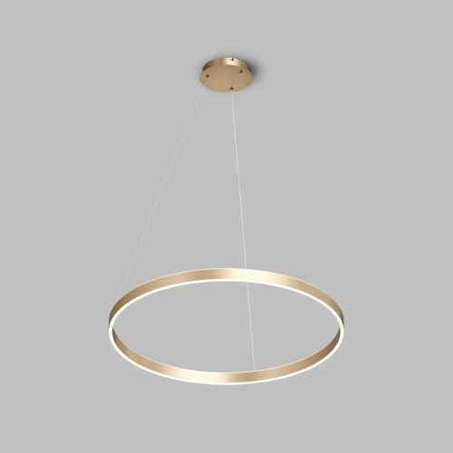 Подвесной светильник Denkirs Raydia DK6272-SG изображение в интернет-магазине Cramer Light