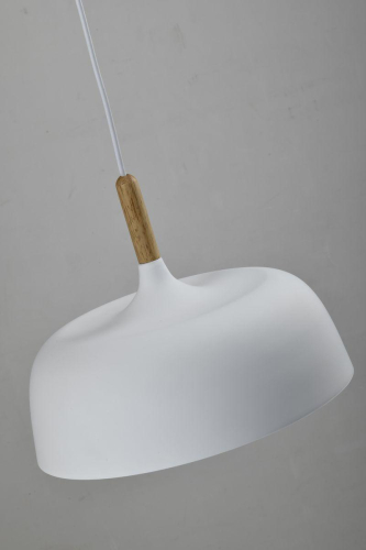 Подвесной светильник Moderli Augustina V1270-1P изображение в интернет-магазине Cramer Light фото 3