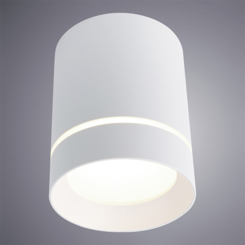Накладной светильник Arte Lamp Elle A1949PL-1WH изображение в интернет-магазине Cramer Light фото 3