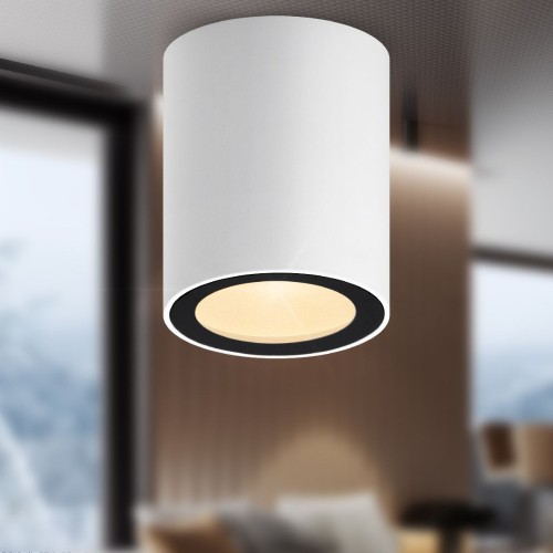 Накладной светильник Эра OL48 WH/BK Б0059799 изображение в интернет-магазине Cramer Light фото 8