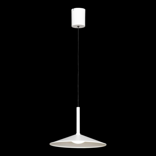 Подвесной светильник Lussole Refugio LSP-7432 изображение в интернет-магазине Cramer Light