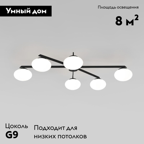 Потолочная люстра Eurosvet Opaline 70220/6 черный a065765 изображение в интернет-магазине Cramer Light фото 2