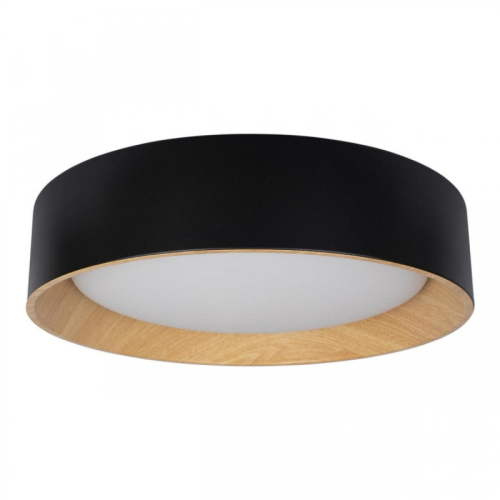Потолочный светильник Loft IT Coin 10202 Black изображение в интернет-магазине Cramer Light