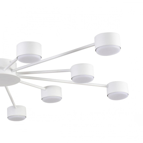 Потолочная люстра Lumion Comfi Torina 8343/12C изображение в интернет-магазине Cramer Light фото 6