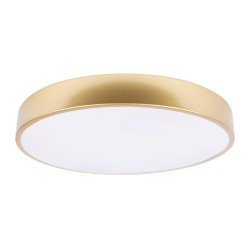 Потолочный светильник Loft IT Flims 10228/A изображение в интернет-магазине Cramer Light
