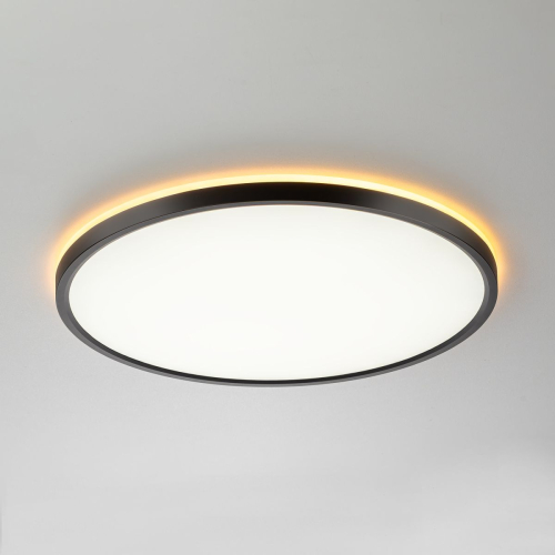 Потолочный светильник Citilux Norma CL749401 изображение в интернет-магазине Cramer Light фото 3