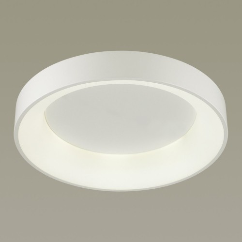 Потолочный светодиодный светильник Odeon Light Sole 4066/40CL изображение в интернет-магазине Cramer Light фото 2