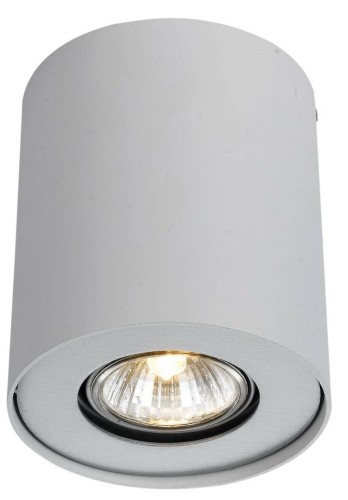 Потолочный светильник Arte Lamp Falcon A5633PL-1WH изображение в интернет-магазине Cramer Light