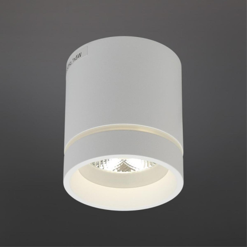 Потолочный светильник Aployt Gita APL.0044.09.05 изображение в интернет-магазине Cramer Light фото 2