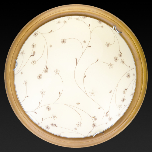 Настенно-потолочный светодиодный светильник Toplight Karissa TL9650Y-00OA изображение в интернет-магазине Cramer Light фото 2