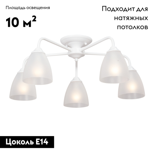 Потолочная люстра Vitaluce V3946-0/5PL изображение в интернет-магазине Cramer Light фото 2