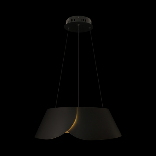 Подвесной светильник Loft IT Lane 10370P Black изображение в интернет-магазине Cramer Light фото 7