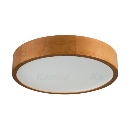 Потолочный светильник Kanlux Jasmin 36441 изображение в интернет-магазине Cramer Light