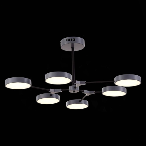 Потолочный светильник Evoluce Monta SLE6003-702-06 изображение в интернет-магазине Cramer Light фото 5