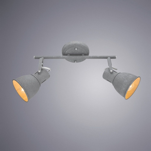 Спот Arte Lamp A1677PL-2GY изображение в интернет-магазине Cramer Light фото 3