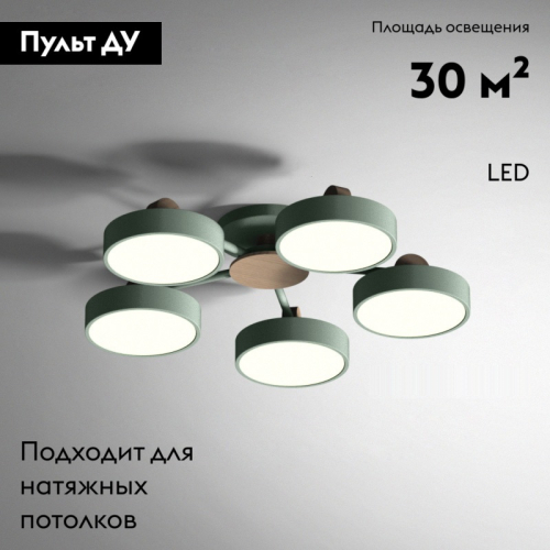 Потолочная люстра ImperiumLoft Move 178250-26 изображение в интернет-магазине Cramer Light фото 2