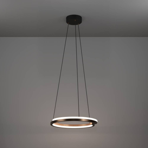 Подвесной светильник Eglo Mezzomonte 901826 изображение в интернет-магазине Cramer Light фото 6