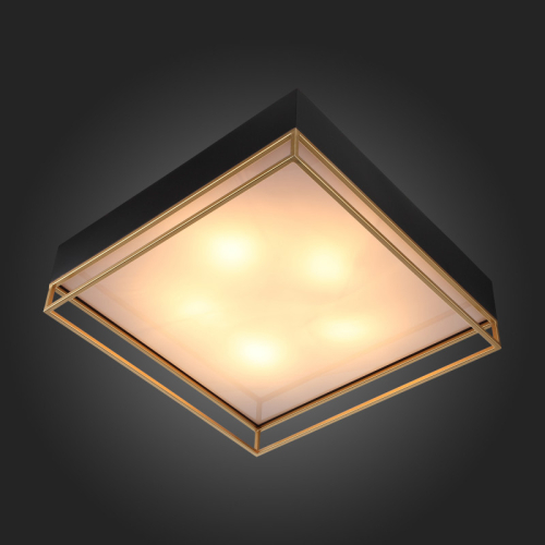 Накладная люстра ST-Luce SL1127.422.05 изображение в интернет-магазине Cramer Light фото 5