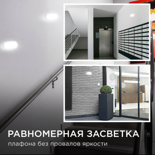 Настенно-потолочный светильник Apeyron 28-03 изображение в интернет-магазине Cramer Light фото 7