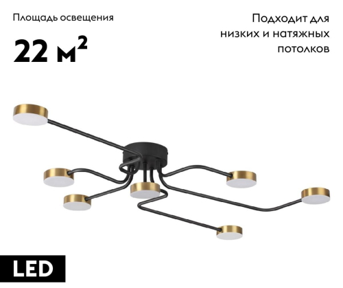 Потолочная люстра Lumion Flint 6532/99CL изображение в интернет-магазине Cramer Light фото 2