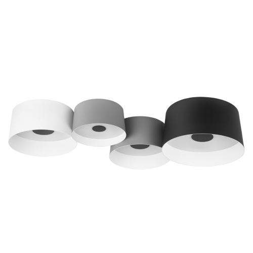Потолочный светильник Loft IT Duo 10360/4 изображение в интернет-магазине Cramer Light