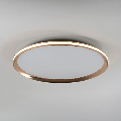 Потолочный светильник LED4U L3020-500 GD изображение в интернет-магазине Cramer Light фото 5
